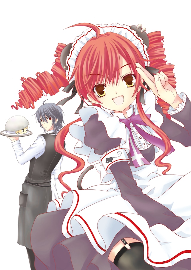 6巻表紙画像をいち早くお届け！（(C)2009 Naru Narumi/SQUARE ENIX）