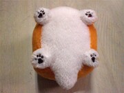 ひっくり返すと、まっさらで手触りの良さそうなお腹があらわに。