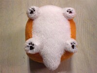 ひっくり返すと、まっさらで手触りの良さそうなお腹があらわに。