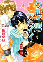 桜賀の人気シリーズ「ワルイコトシタイ」の最新刊。