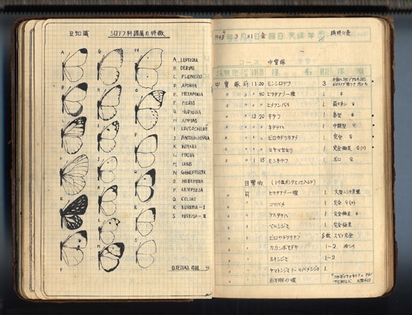 昆虫手帳(c)手塚プロダクション