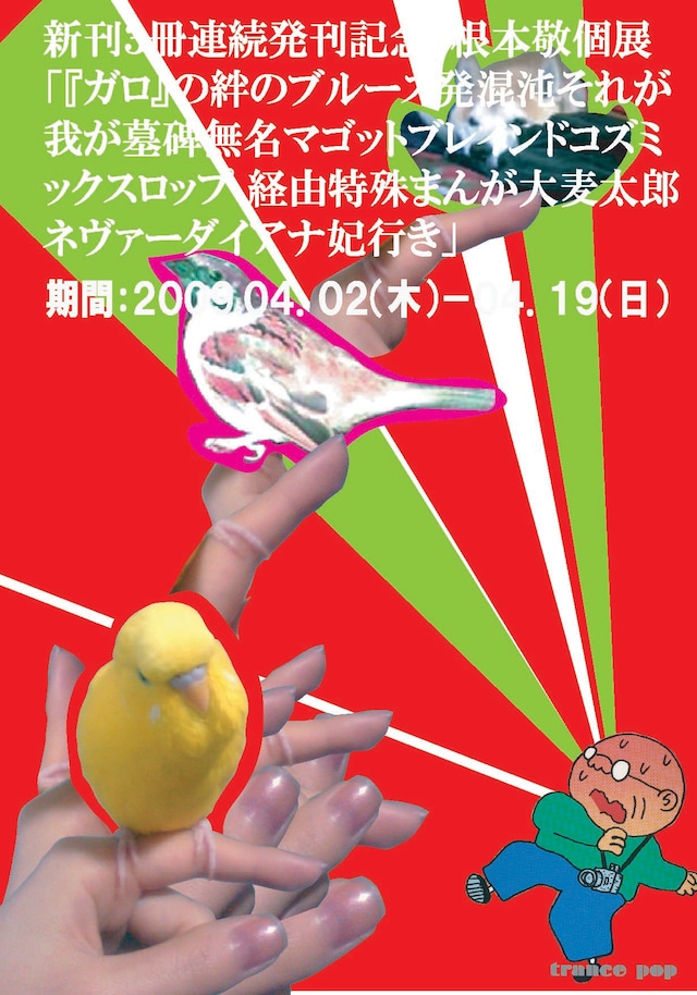 京都トランスポップギャラリーで開催される個展のフライヤー。