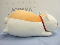 横から見たニャンコ先生。