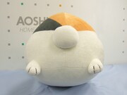 後ろから見たニャンコ先生。