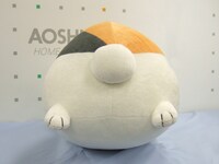 後ろから見たニャンコ先生。