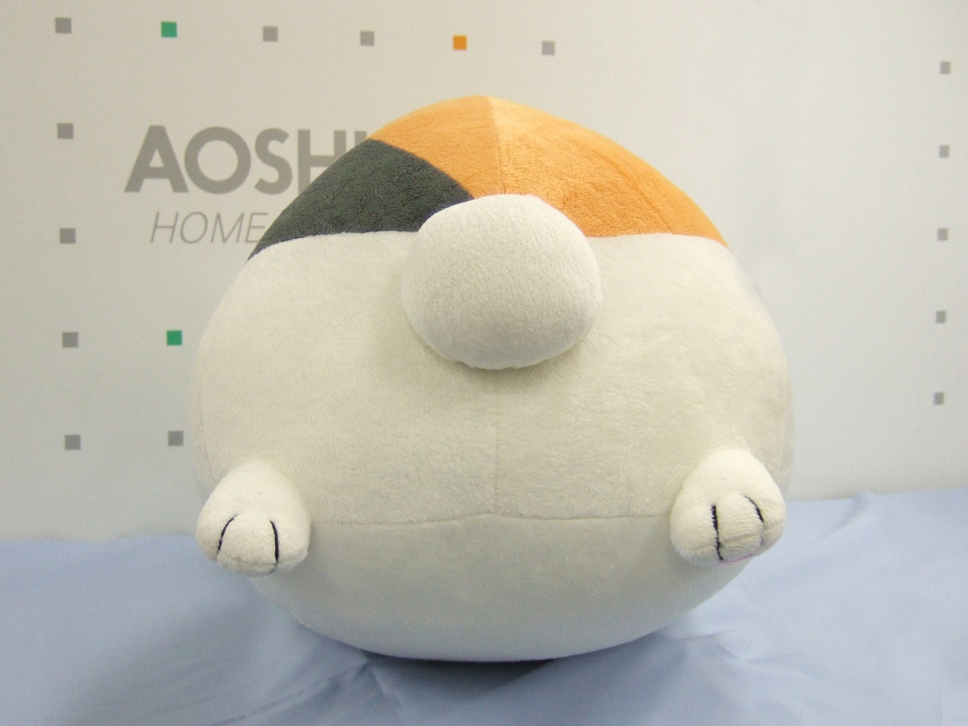 後ろから見たニャンコ先生。