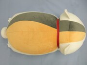 上から見たニャンコ先生。