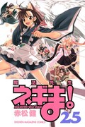 2月に発売された「魔法先生ネギま！」25巻。