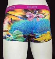 Enlightmentによるボクサーブリーフパンツその1。