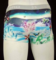 Enlightmentによるボクサーブリーフパンツその2。