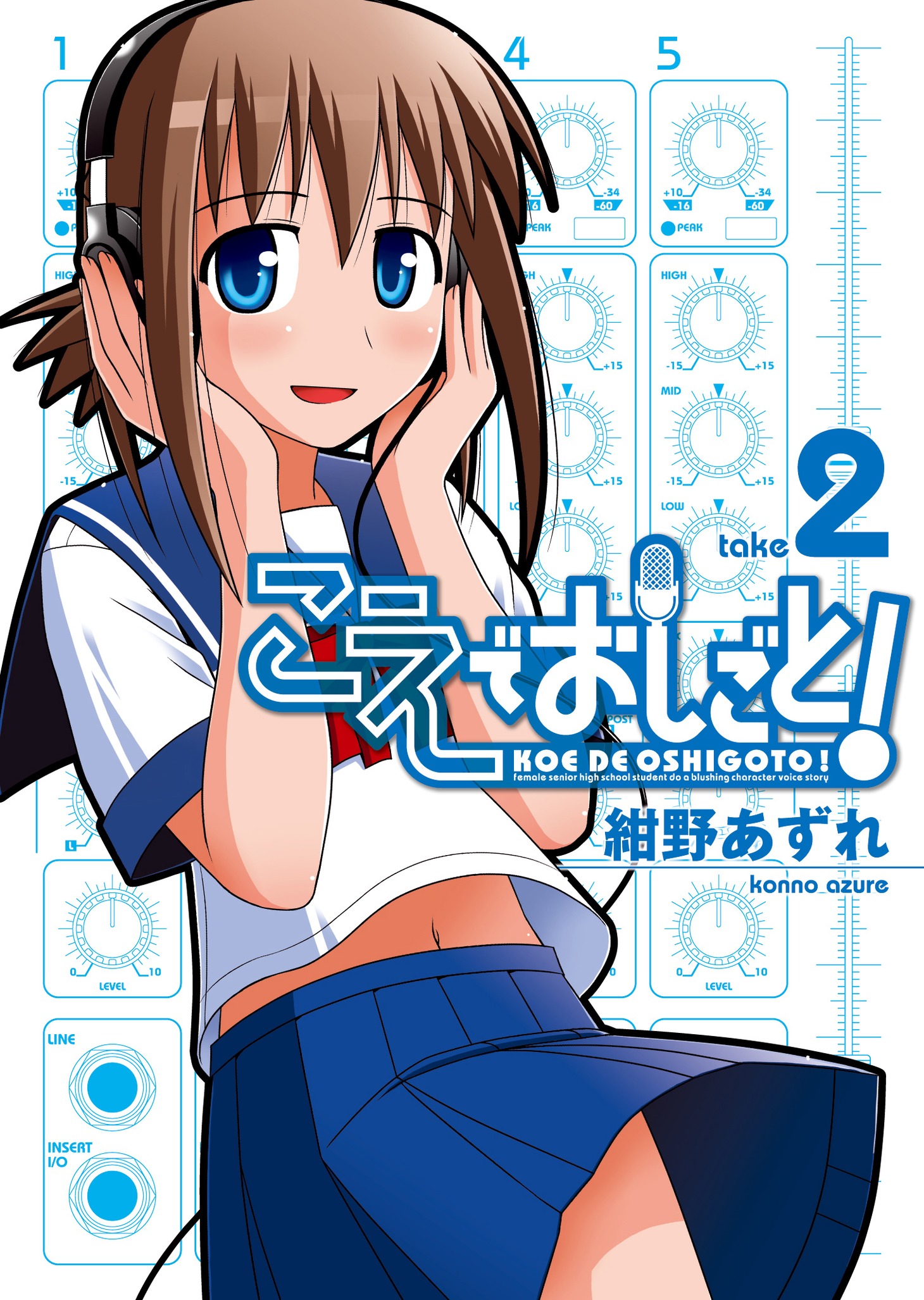 「こえでおしごと！」2巻通常版。