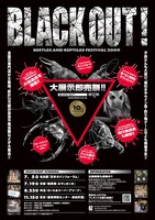 昆虫好き、は虫類好きには天国ともいえるイベントだ。