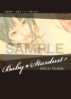 こちらはカバーイラスト。/(C) 2009 SHO-U TAJIMA/Field-Y.Inc, (C) kotobukiya 2009