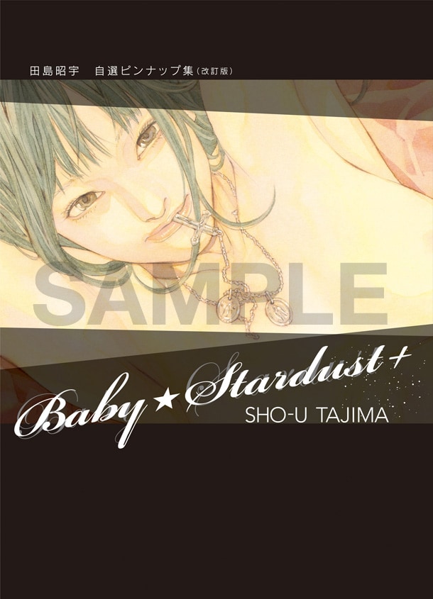 こちらはカバーイラスト。/(C) 2009 SHO-U TAJIMA/Field-Y.Inc, (C) kotobukiya 2009