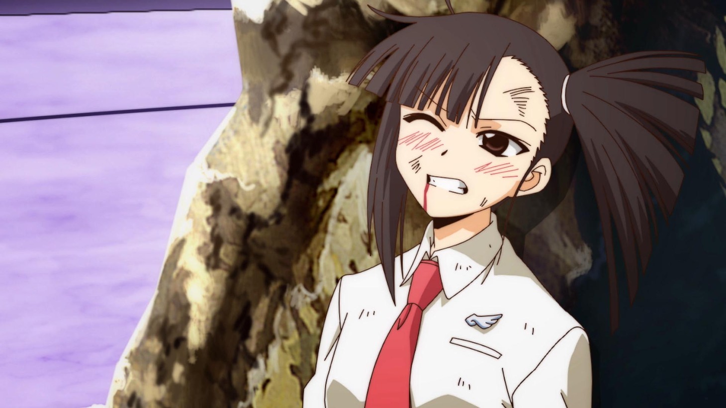 (c)赤松健・講談社／新ネギま部