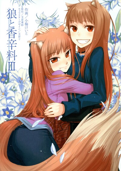 文倉十と小梅けいと合作による掛け替えカバー。その名も「2人のホロが抱き合いんすVer.」