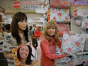 日本テレビ系情報バラエティ「おもいっきりDON!」より。にしおかすみこと益若つばさの間に見切れるヨシノビズム。