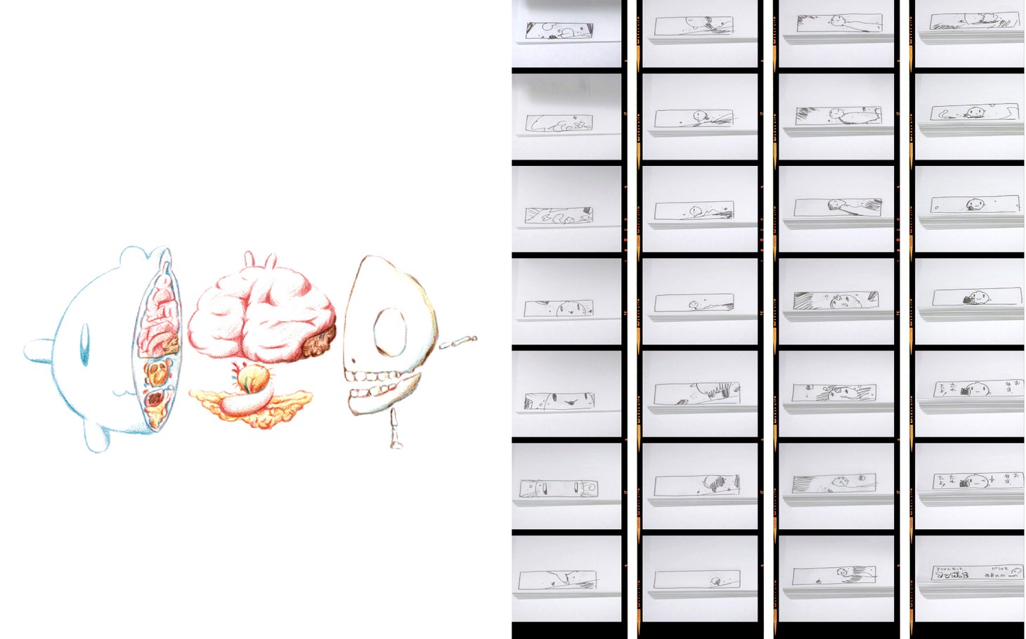 「ikoi BOX」のブックレットより。