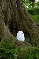 森の中に佇む白フクロウ・アルテミス。どこか哀愁が漂う。