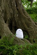 石川雅之 純潔のマリア 1巻限定版に白フクロウが付いてくる コミックナタリー 石川雅之 純潔のマリア 1巻限定版に白フクロウが付いてくる コミックナタリー