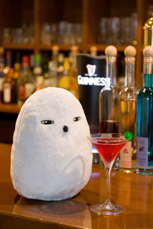 カクテルを見つめる白フクロウ・アルテミス。ムード満点。