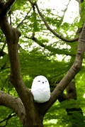 石川雅之 純潔のマリア 1巻限定版に白フクロウが付いてくる コミックナタリー 石川雅之 純潔のマリア 1巻限定版に白フクロウが付いてくる コミックナタリー