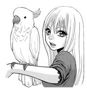 大瑛ユキオ「ガール・ミーツ・ボーイズ」