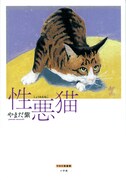 「性悪猫」のカバー。