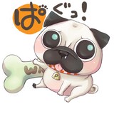 櫁屋涼の新連載「わんぱぐ！」カット。