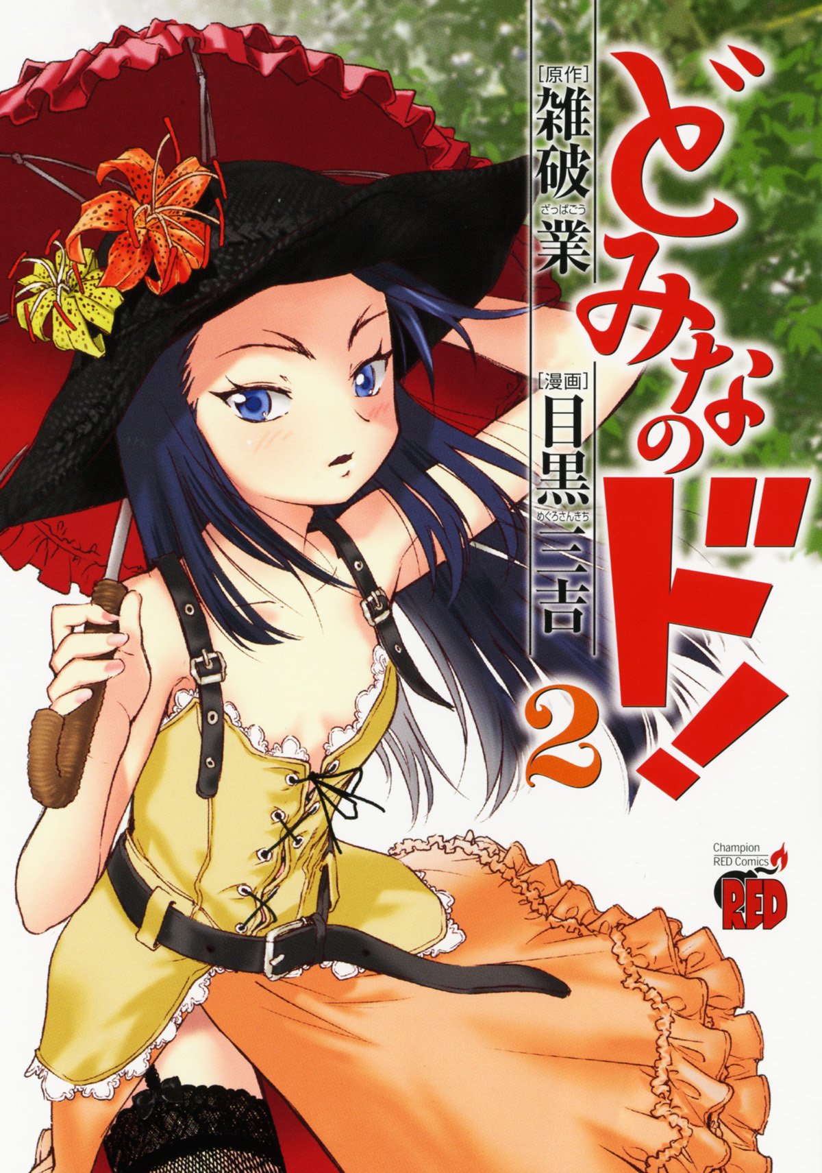 発売中の「どみなのド！」2巻。