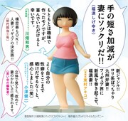 画像は「僕の小規模な生活」3巻に封入された注文票付きスペシャルチラシからの抜粋。夫の福満しげゆき、東村アキコなど各方面から絶賛の声が上がる「妻」フィギュア。(C)福満しげゆき/講談社