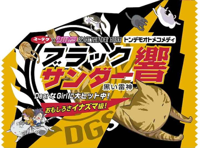 「Dear Girl～Stories～響」2巻の掛け替えカバー。&copy;2010 Saya Iwasaki・Nippon Cultural Broadcasting Inc.