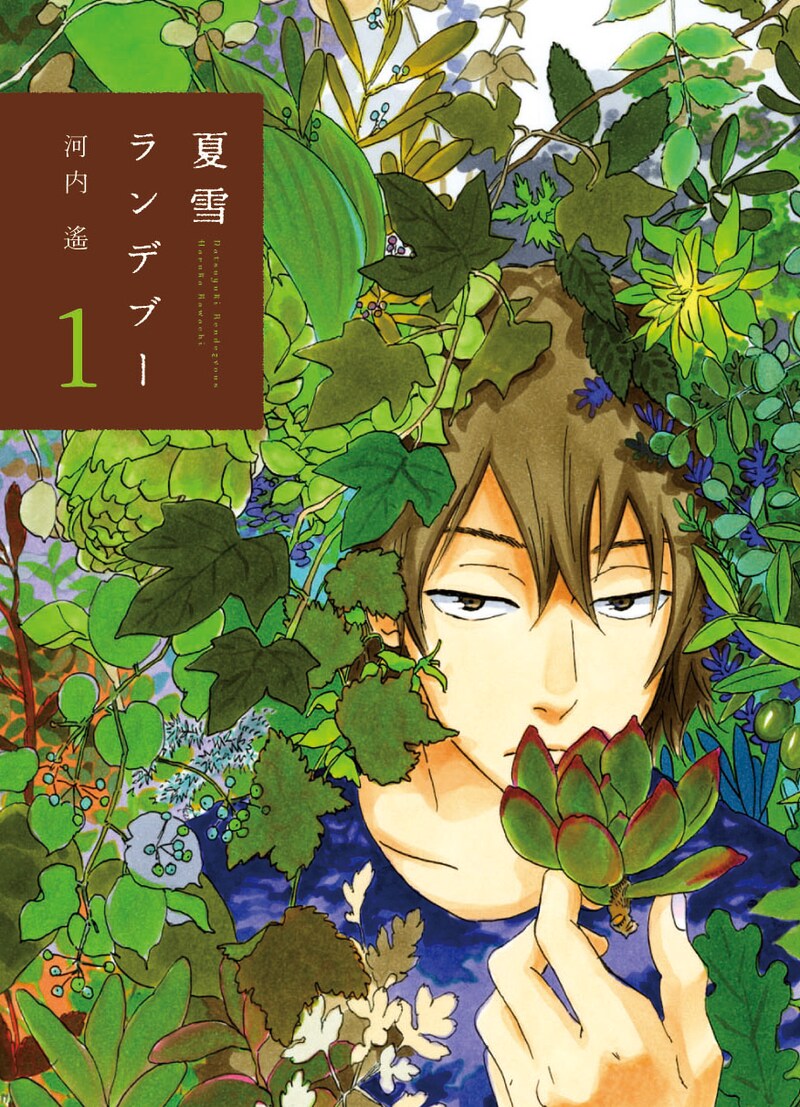 2月20日に祥伝社より発売される「夏雪ランデブー」1巻。