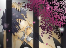 栄羽弥「コスプレ☆アニマル番外編　インプット・メソッド」。