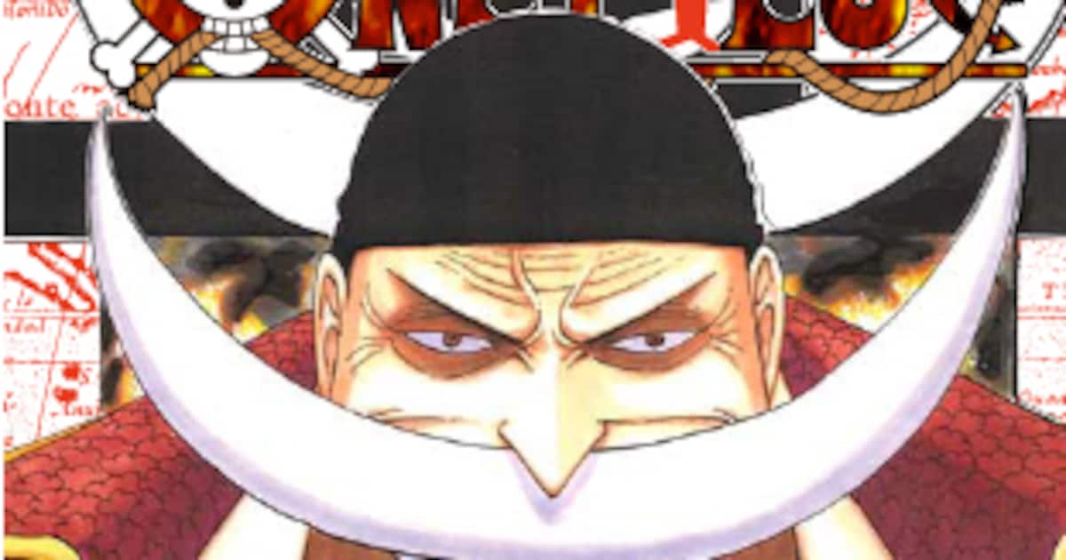 ONE PIECE」57巻、初版は300万部。画集も同時発売 - コミックナタリー