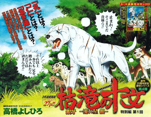 「枯滝の十文 銀牙 -流れ星 銀- 特別編」カット。(C)高橋よしひろ／集英社