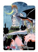 久保帯人「BLEACH」のクリアブックマーカー。