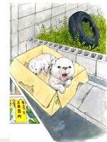 「星守る犬」カット（c）村上たかし／双葉社