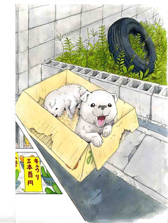 「星守る犬」カット（c）村上たかし／双葉社