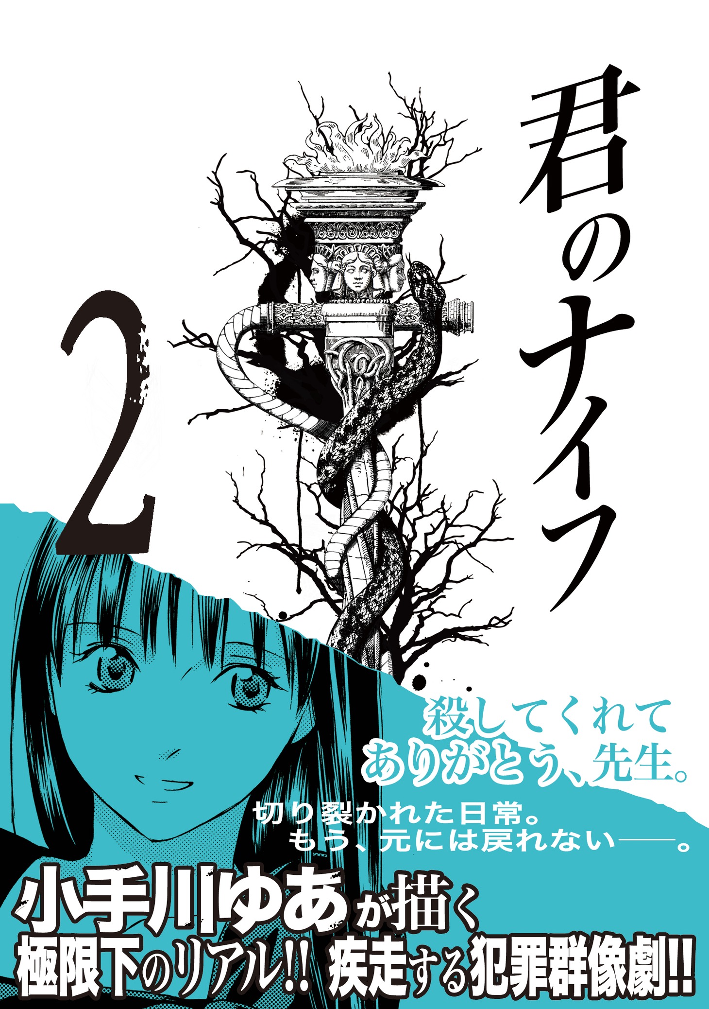 小手川ゆあ「君のナイフ」2巻 (C)小手川ゆあ／集英社