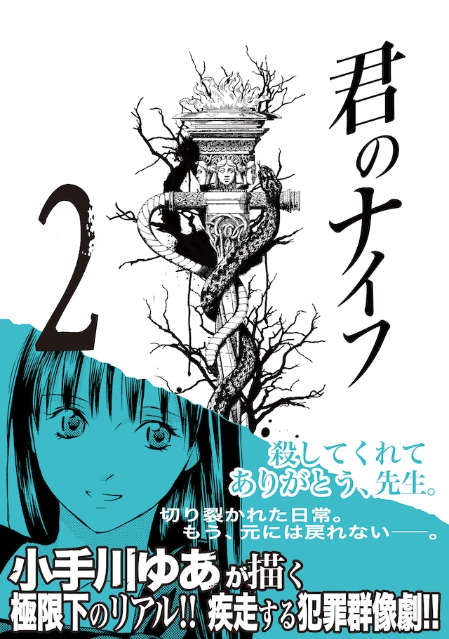小手川ゆあ「君のナイフ」2巻 (C)小手川ゆあ／集英社
