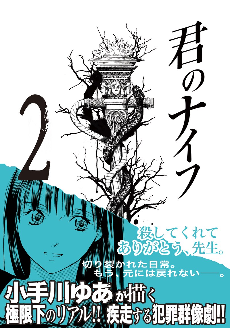 小手川ゆあ「君のナイフ」2巻 (C)小手川ゆあ／集英社
