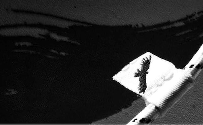 ティザーサイトより。この鳥のマークは一体……？