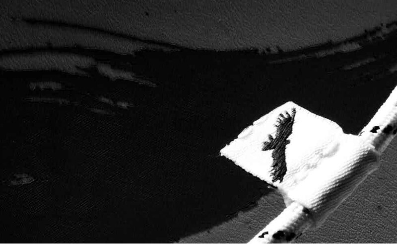 ティザーサイトより。この鳥のマークは一体……？