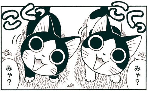 「ふくふくふにゃ～ん」カット