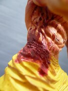 「RDF/範馬刃牙 強きを求めし者 流血版」(C)板垣恵介/FWD