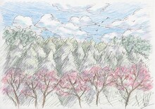岸本が描き下ろした「ナルトの森」完成予想図。(C)岸本斉史 スコット／集英社