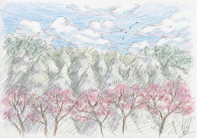 岸本が描き下ろした「ナルトの森」完成予想図。(C)岸本斉史 スコット／集英社