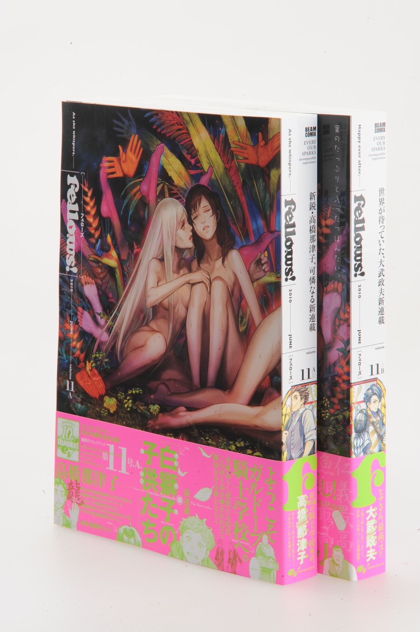Fellows! Vol.11
