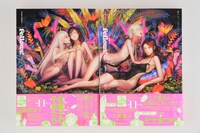 Fellows! Vol.11。Vol.11AとVol.11Bの2冊を並べると一枚のイラストに。